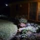 Beginning to snow!