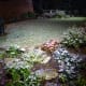 Part of our backyard & snow at around one o'clock in the morning.