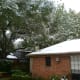 Snow on our roof and in the trees above around 9 A.M.