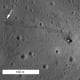 Feb 2011. Close-up of previous image.