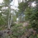 hiking trails are easy to navigate