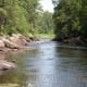calmer waters in the chute, downtream from the bridge