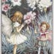 Art by Cicely Mary Barker http://www.flowerfairiesprints.com/image/228794/cicely-mary-barker-pink-fairies