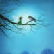 http://iamachild.wordpress.com/category/eguchi-asako/