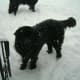 Aww Mom do we really have to come in?