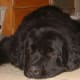 So Tired