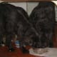 We Share!