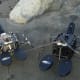 Military Bots