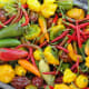 All hot peppers contain capsaicin, which is a powerful stimulant.