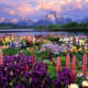 Floral scents has been found to be refreshing