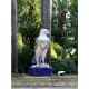 "Love your Life" by Gitte Peters - the eagle has a heart shaped garland of flowers