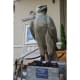 "Unchain my heart" by Fanny Blanchlande - eagle covered in chain mail