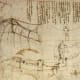 Leonardo's Bat Wings Glider Design