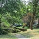 Ohio Derecho 2012