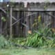 Ohio Derecho 2012