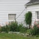 Ohio Derecho 2012