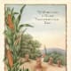 vintage-thanksgiving-greeting-cards