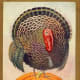 vintage-thanksgiving-greeting-cards