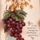 vintage-thanksgiving-greeting-cards