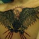 hawk-tattoos-and-meanings-hawk-tattoo-designs-and-ideas-hawk-tattoo-pictures