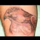 hawk-tattoos-and-meanings-hawk-tattoo-designs-and-ideas-hawk-tattoo-pictures