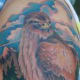 hawk-tattoos-and-meanings-hawk-tattoo-designs-and-ideas-hawk-tattoo-pictures