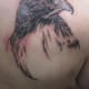 hawk-tattoos-and-meanings-hawk-tattoo-designs-and-ideas-hawk-tattoo-pictures