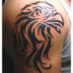 hawk-tattoos-and-meanings-hawk-tattoo-designs-and-ideas-hawk-tattoo-pictures
