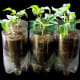 unusual-planters
