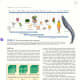 Kno textbook page on iPad