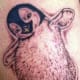 penguin-tattoos-and-designs-penguin-tattoo-meanings-and-ideas-penguin-tattoo-pictures
