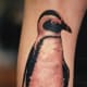 penguin-tattoos-and-designs-penguin-tattoo-meanings-and-ideas-penguin-tattoo-pictures