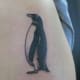 penguin-tattoos-and-designs-penguin-tattoo-meanings-and-ideas-penguin-tattoo-pictures