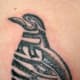 penguin-tattoos-and-designs-penguin-tattoo-meanings-and-ideas-penguin-tattoo-pictures