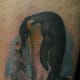 penguin-tattoos-and-designs-penguin-tattoo-meanings-and-ideas-penguin-tattoo-pictures
