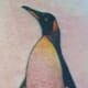 penguin-tattoos-and-designs-penguin-tattoo-meanings-and-ideas-penguin-tattoo-pictures