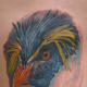penguin-tattoos-and-designs-penguin-tattoo-meanings-and-ideas-penguin-tattoo-pictures