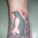 penguin-tattoos-and-designs-penguin-tattoo-meanings-and-ideas-penguin-tattoo-pictures