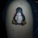 penguin-tattoos-and-designs-penguin-tattoo-meanings-and-ideas-penguin-tattoo-pictures