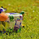 CASH COW