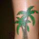 palm-tree-tattoos-and-designs-palm-tree-tattoo-meanings-and-ideas-palm-tree-tattoo-pictures