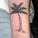 palm-tree-tattoos-and-designs-palm-tree-tattoo-meanings-and-ideas-palm-tree-tattoo-pictures