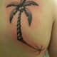 palm-tree-tattoos-and-designs-palm-tree-tattoo-meanings-and-ideas-palm-tree-tattoo-pictures