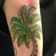 palm-tree-tattoos-and-designs-palm-tree-tattoo-meanings-and-ideas-palm-tree-tattoo-pictures