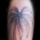palm-tree-tattoos-and-designs-palm-tree-tattoo-meanings-and-ideas-palm-tree-tattoo-pictures