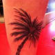 palm-tree-tattoos-and-designs-palm-tree-tattoo-meanings-and-ideas-palm-tree-tattoo-pictures