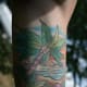 palm-tree-tattoos-and-designs-palm-tree-tattoo-meanings-and-ideas-palm-tree-tattoo-pictures