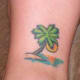 palm-tree-tattoos-and-designs-palm-tree-tattoo-meanings-and-ideas-palm-tree-tattoo-pictures