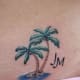 palm-tree-tattoos-and-designs-palm-tree-tattoo-meanings-and-ideas-palm-tree-tattoo-pictures