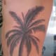 palm-tree-tattoos-and-designs-palm-tree-tattoo-meanings-and-ideas-palm-tree-tattoo-pictures